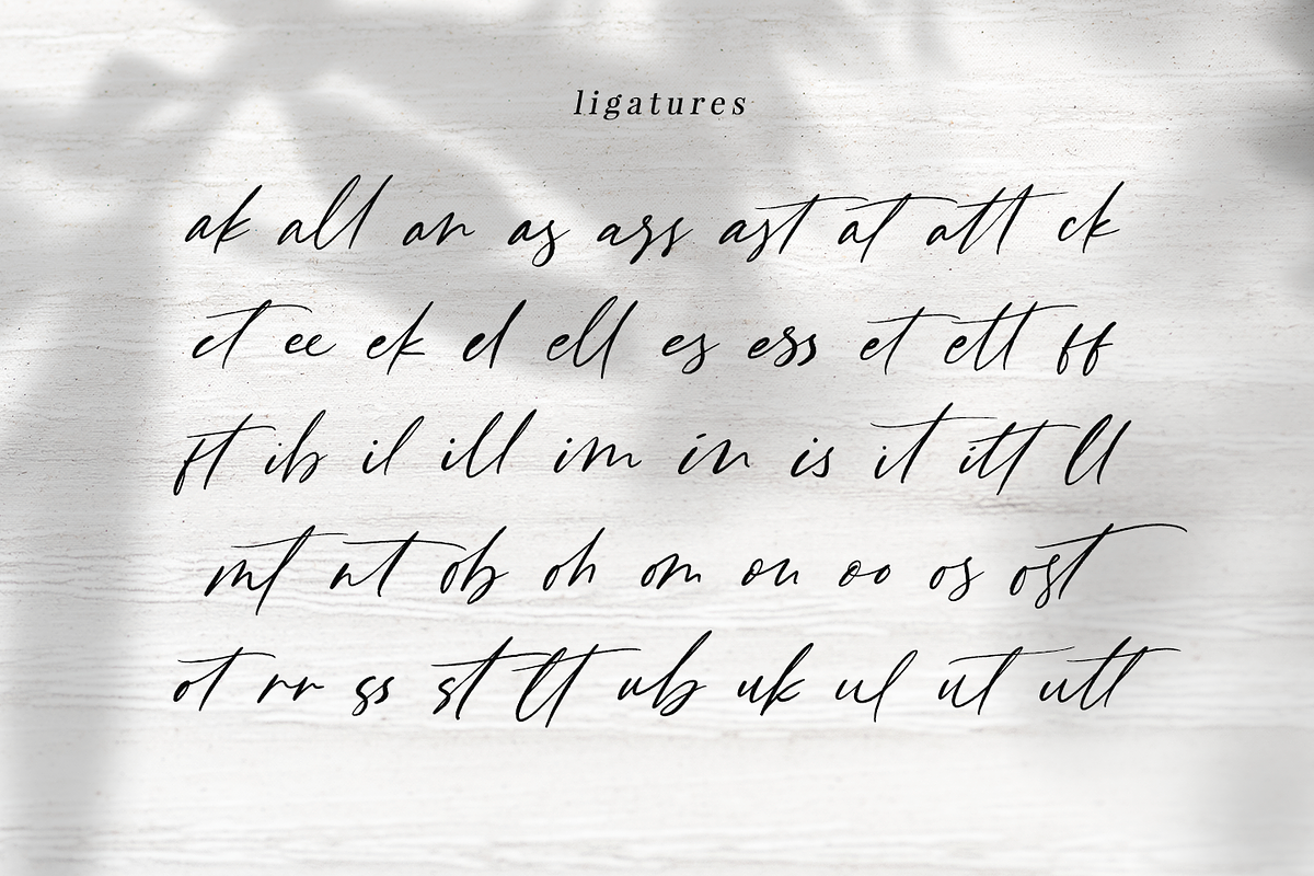 Fast Line Brush Script, a Script Font by Quothron (Photo 6 of 8)