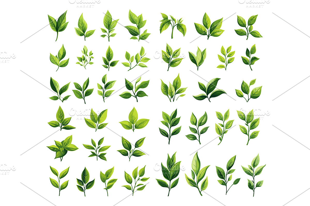 Fresh tea leaves cartoon vector set, a Food Illustration by Onyx