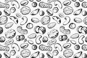Nuts Set. Hand Drawn Illustrations, a Graphic by Epine (Thumbnail 3 of 3)