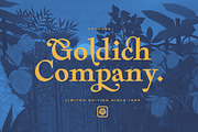 75% Off Rachee Display, a Font by Sundance Tipografia (Thumbnail 7 of 10)