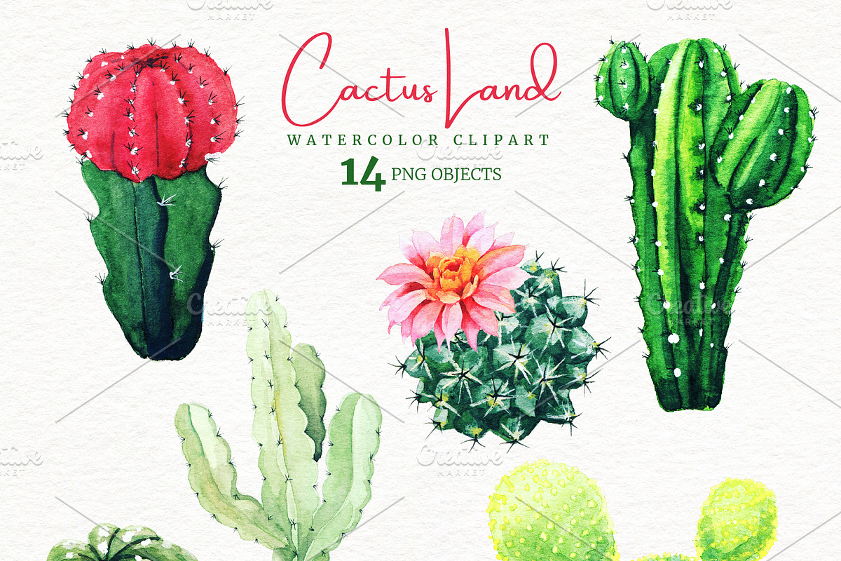 Floral Watercolor Bundle, an Object Graphic by JSolomatina (Photo 16 of 23)