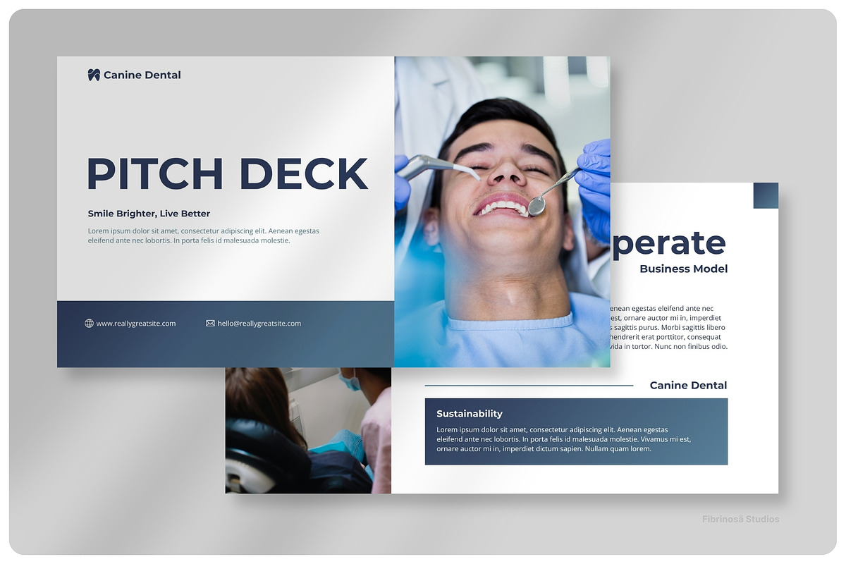 Canine Dental Clinic - Pitch Deck preview 2