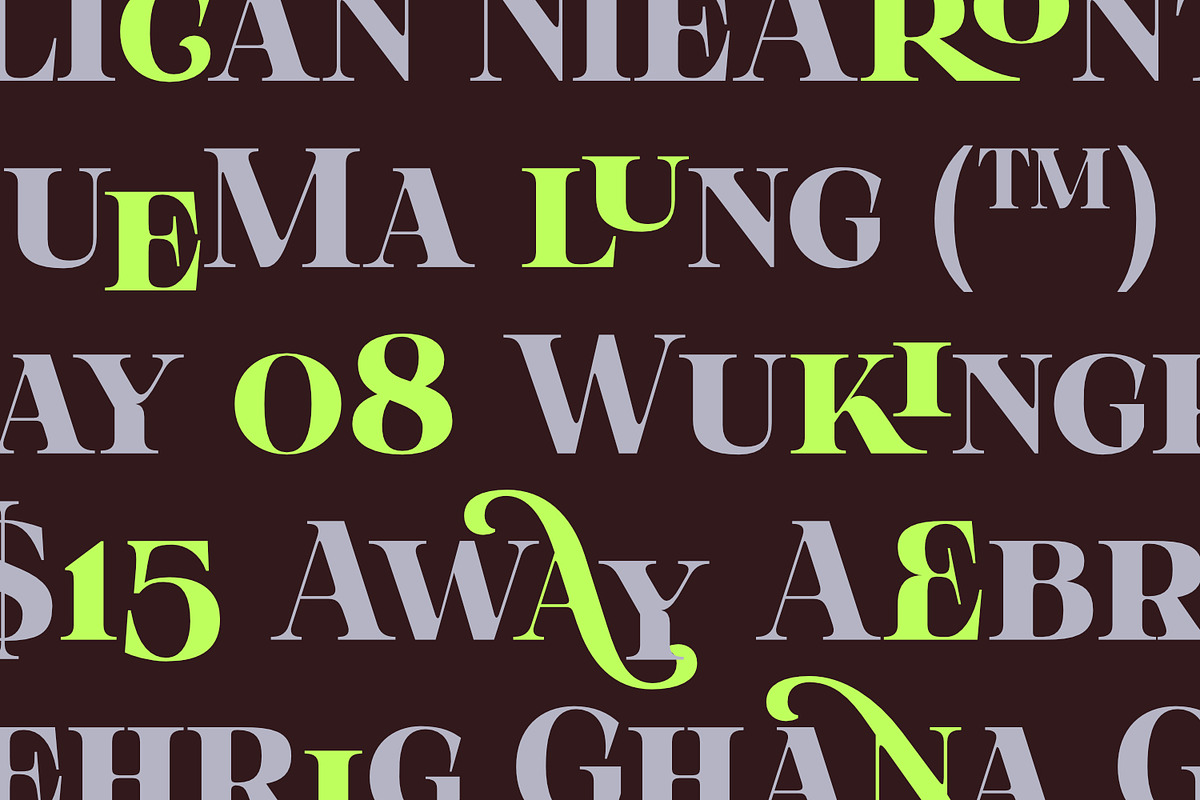Olivas, a Serif Font by Khoir (Photo 3 of 13)