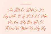 Denieda Marceline Bold Calligraphy, a Script Font by Letterena Studios Script (Thumbnail 4 of 15)