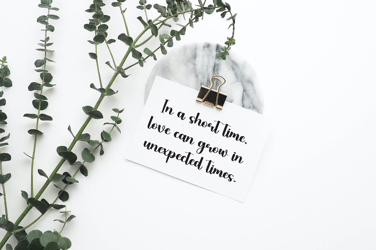 Bigbos | Script Font, a Handwritten Font by Scratchones (Photo 2 of 8)