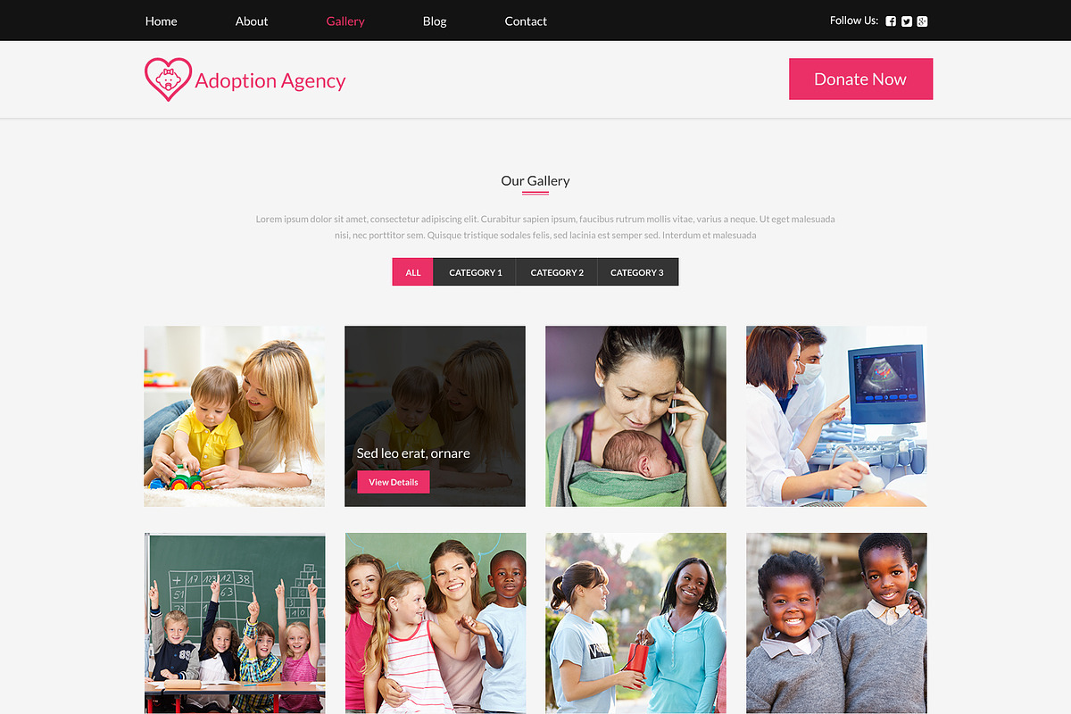 Adoption Agency PSD Website Template, a Websites & App Template by WebbyTemplates (Photo 7 of 7)