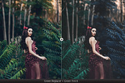Greenizer & 100 Summer Overlays, a Plug-in Add-On by Pro Add-Ons (Thumbnail 4 of 15)