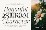 Avilona Super Family | 63 Style Font, a Serif Font by IM Studio (Thumbnail 4 of 16)