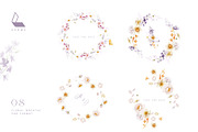 Gwinnett | Botanical set, an Illustration by Karma (Thumbnail 17 of 22)