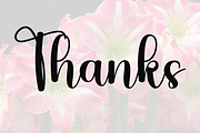 Amarilis, a Handwritten Font by FreshTypeINK (Thumbnail 6 of 8)