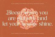 Achieve Fabrics Modern Serif, a Serif Font by timelesstype.co (Thumbnail 10 of 20)