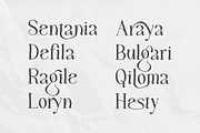 Maglift serif 200+ ligature collecti, a Serif Font by suhadidesign (Thumbnail 5 of 11)