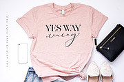 The Stay Classy Font Duo, a Serif Font by Nicky Laatz (Thumbnail 23 of 36)