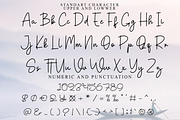 Collection Signature, a Handwritten Font by FreshTypeINK (Thumbnail 5 of 8)
