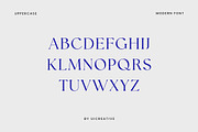 Distrampler Luxury Serif Font, a Serif Font by UICreative (Thumbnail 9 of 13)