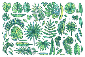 vector cute drawn plant clipart