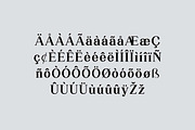 Microquake Serif Display Font, a Serif Font by UICreative (Thumbnail 12 of 13)