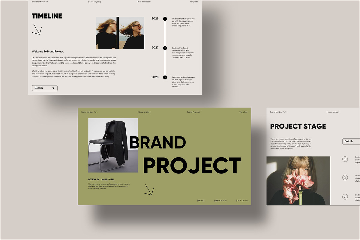 Brand Project Presentation Template preview 4