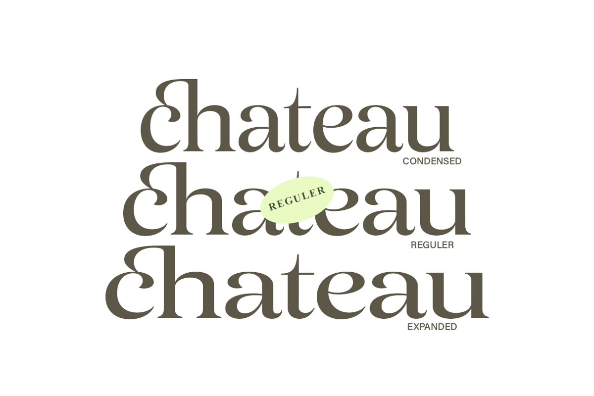 Avenza | 6 style Romantic serif, a Serif Font by InkwellTypeCo (Photo 5 of 22)
