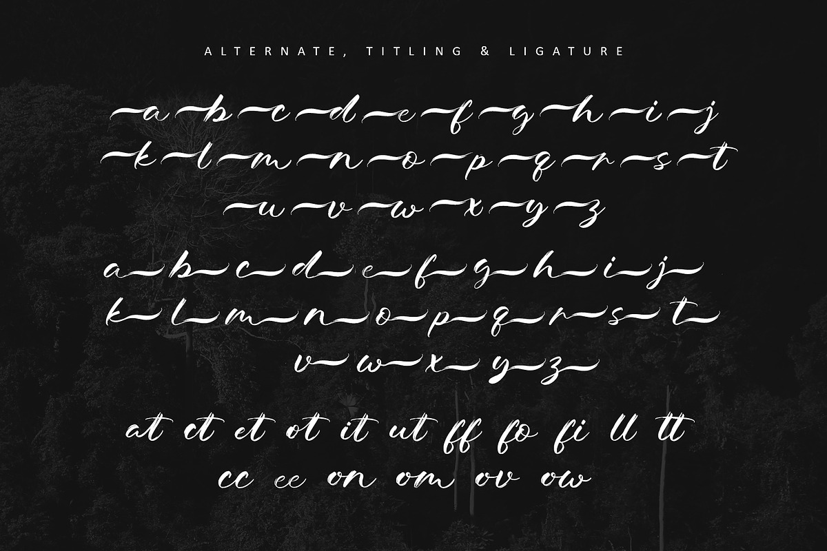 Lembah Baliem, a Handwritten Font by Letterara (Photo 9 of 11)
