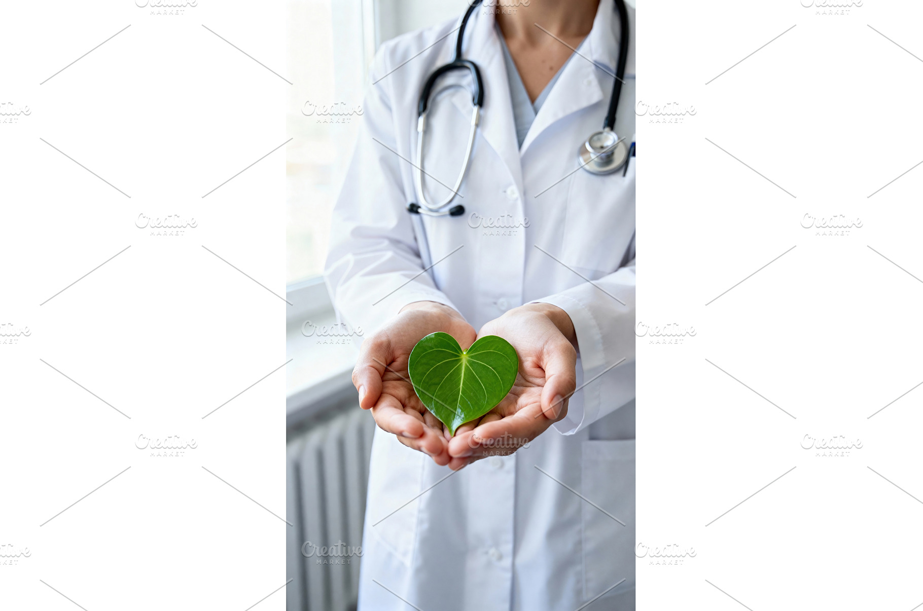 Doctor holding a heart-shaped green, a Health & Medical Photo by tilialucida