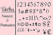 Tahillia, a Serif Font by Canden Meutuah (Thumbnail 2 of 10)