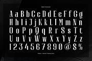 Rabiot | Modern Display Serif, a Sans Serif Font by gracetype_studio (Thumbnail 10 of 12)
