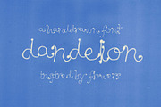 Dandelion Hand Drawn Font, a Handwritten Font by Madeline ODonoghue Design (Thumbnail 5 of 7)