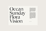 New Tropic - 8 Style Font Family, a Serif Font by Tropical Type (Thumbnail 3 of 15)