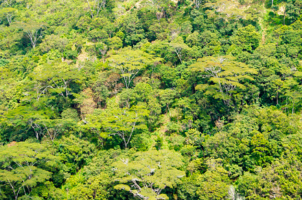 Green featuring green, landscape, and nature