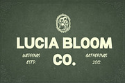 Advance Glowing - Duo Font, a Script Font by Madjack.font (Thumbnail 12 of 13)
