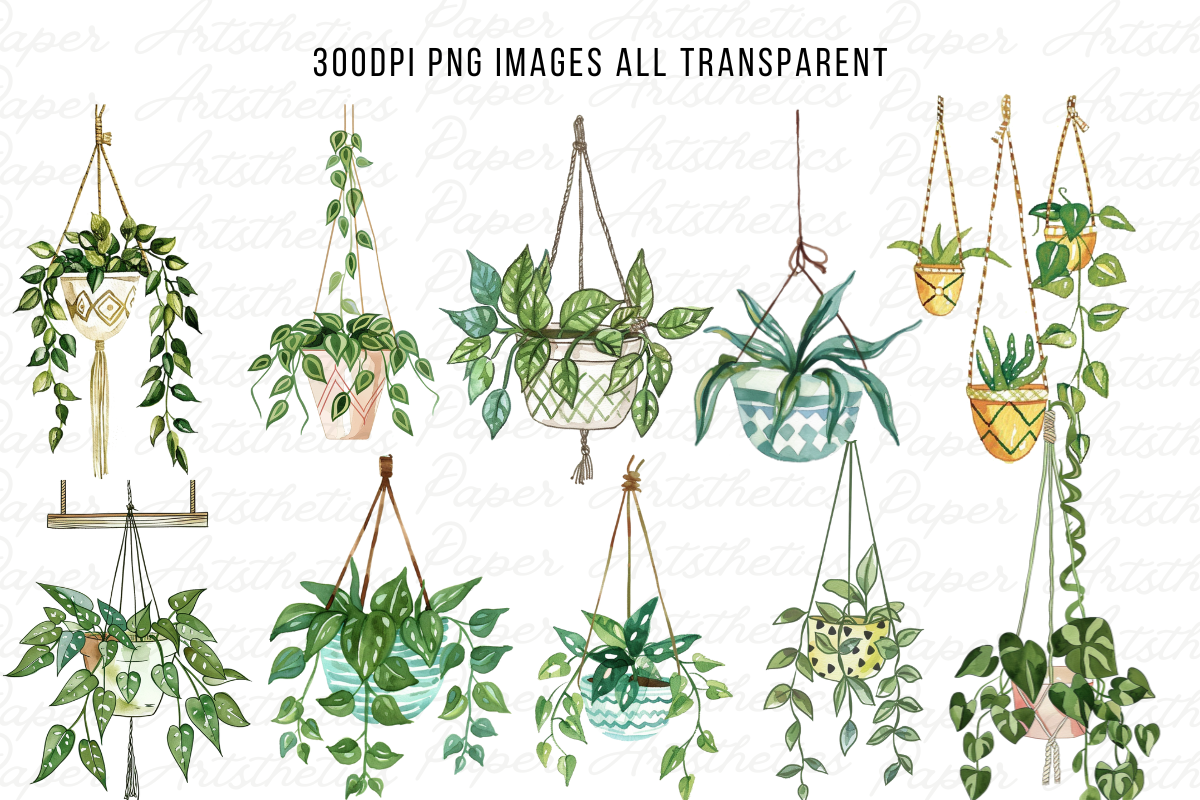 Hanging Plants Illustrations Png, a Decorative Illustration by Paper Artsthetics (Photo 3 of 6)