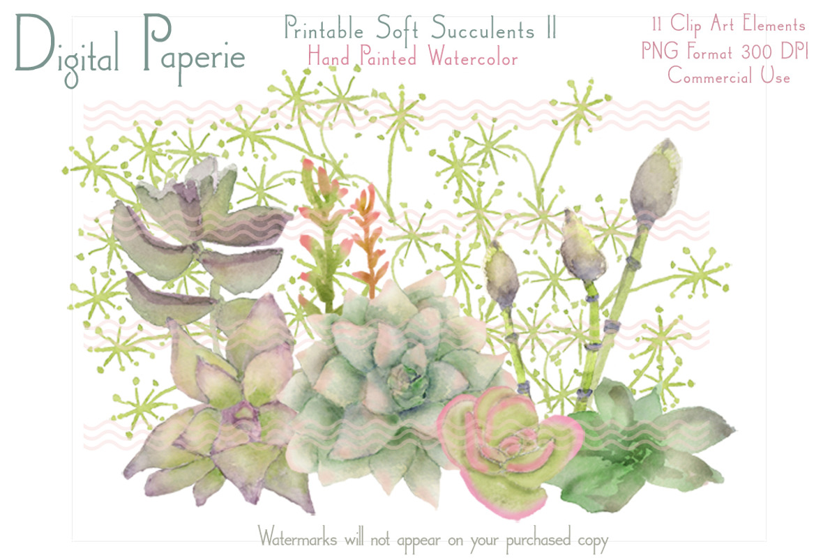 Digital Watercolor Succulents II, an Illustration by Digital Paperie (Photo 1 of 2)