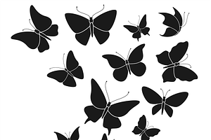 Butterfly Black Silhouettes. Fly But