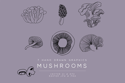 Hand Drawn Mushroom Bundle