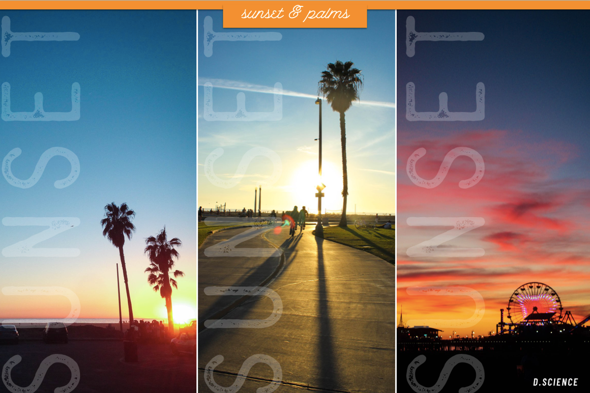 Sunset & Palm Trees Photo Bundle, a Nature Photo by Template Monkey @dscience (Photo 7 of 12)