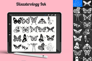 Butterfly Outlines Set 5 Procreate