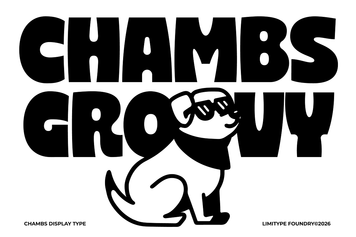 Chambs - Bold Font, a Sans Serif Font by limitype (Photo 1 of 12)