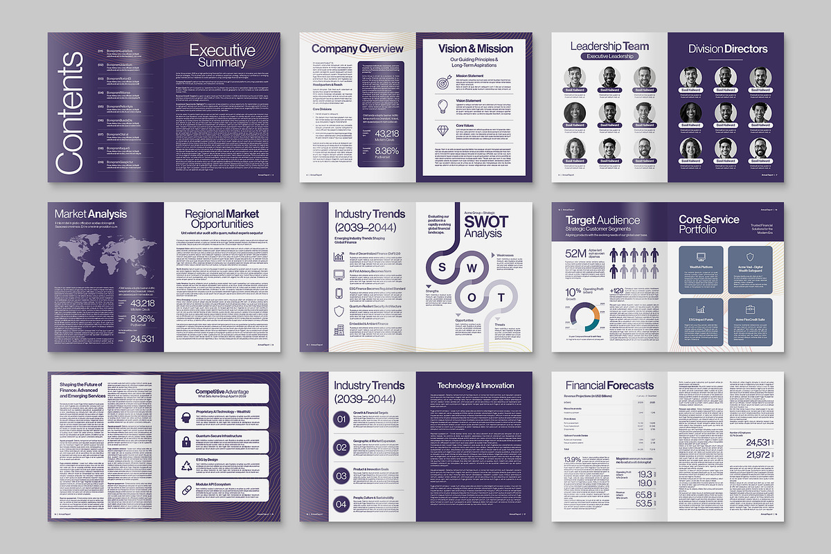 Business Plan Template, a Brochure Template by BrandPacks (Photo 4 of 6)