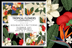 Tropical Flowers. VECTOR