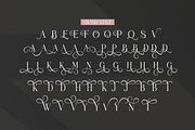 Angrela Display, a Serif Font by Gatype (Thumbnail 9 of 11)