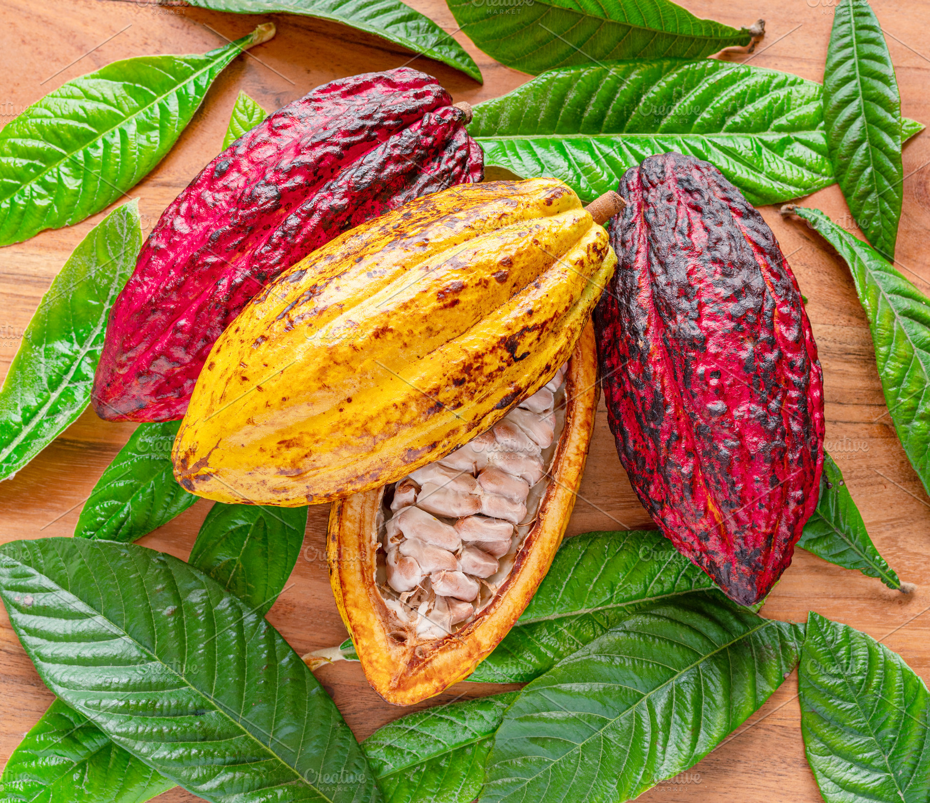 Fresh cocoa fruits between green cacao leaves on wooden backgrou, a Food & Drink Photo by Volff