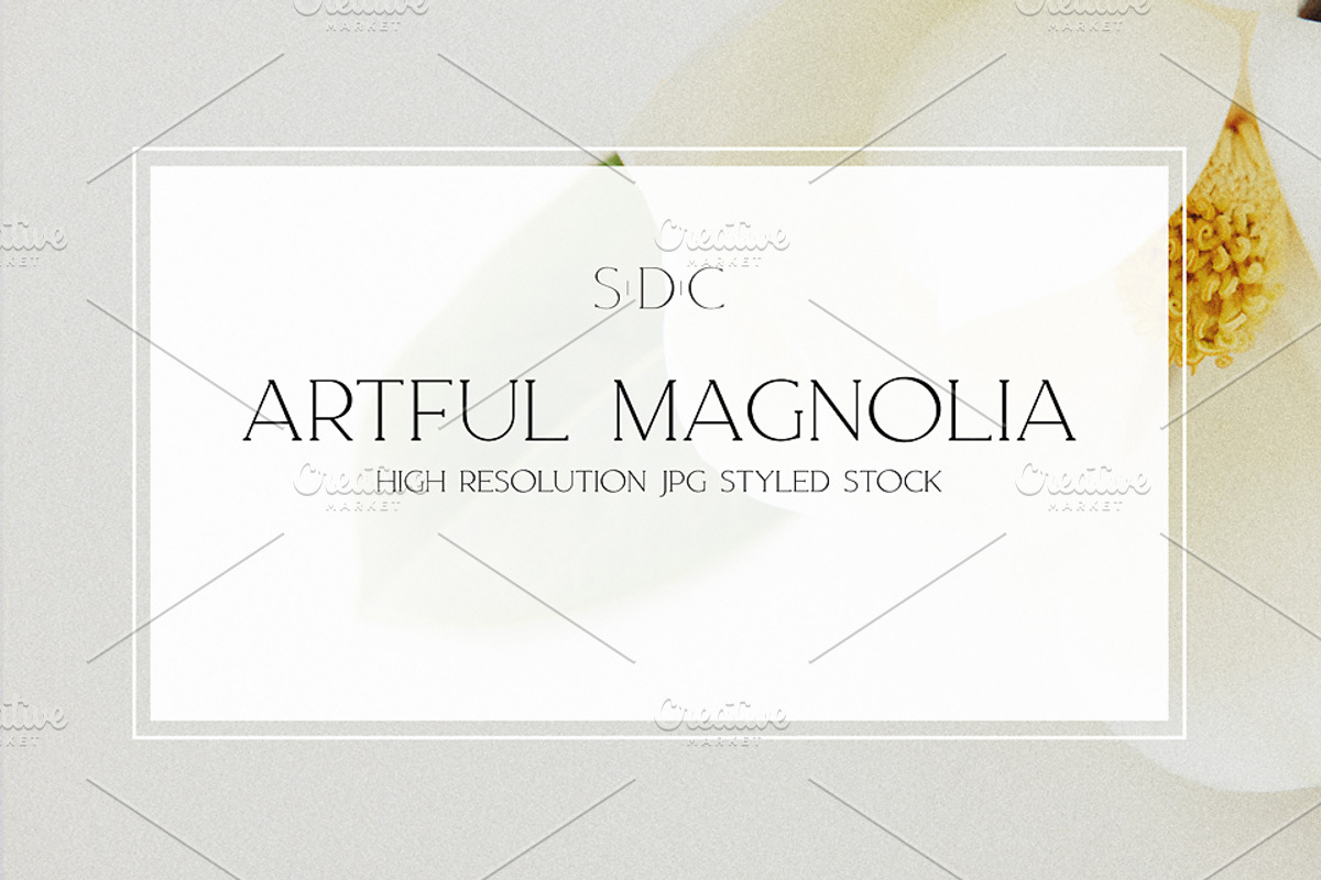 Artful Magnolia Styled Stock, a Nature Photo by Susie Design Co (Photo 1 of 2)