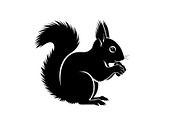 Black Squirrel Vector Icon Bundle, an Illustration by jahid234 (Thumbnail 44 of 51)