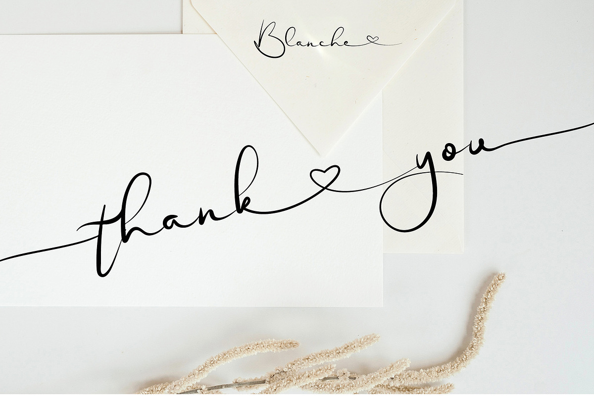 Blanche - Signature Font, a Script Font by erlosDESIGN (Photo 15 of 15)