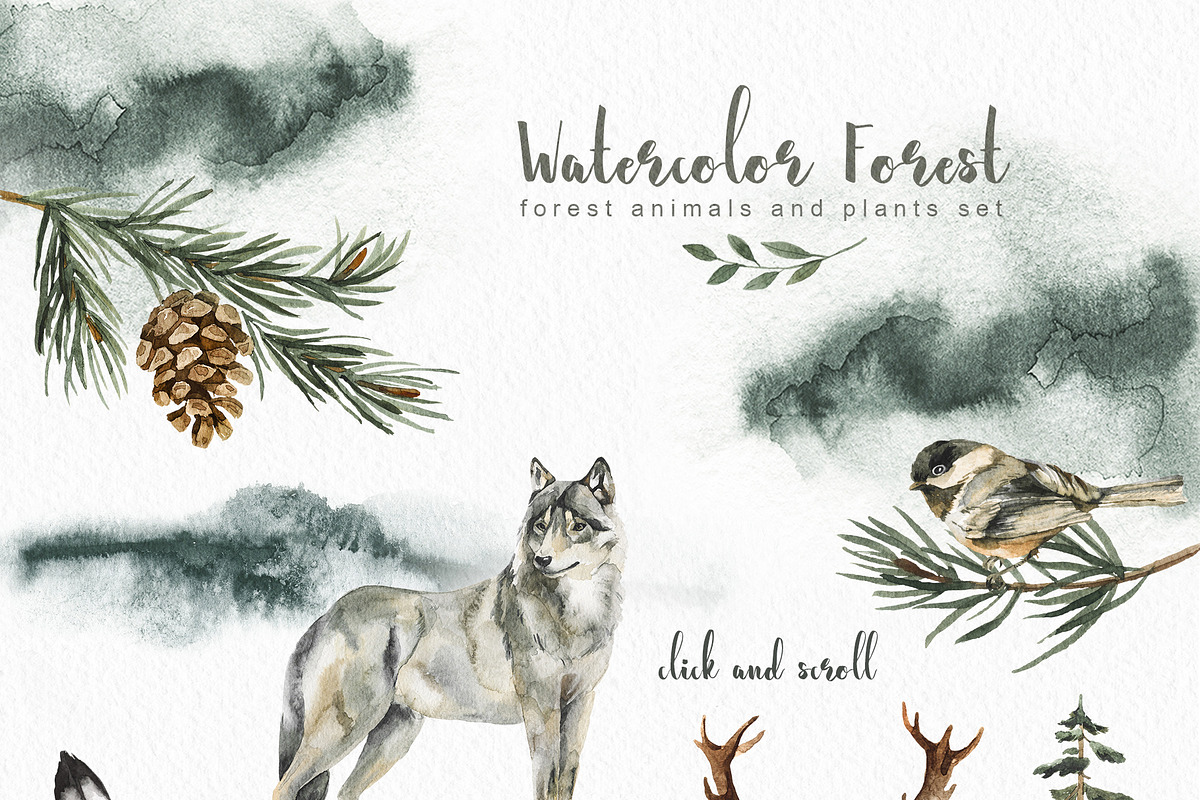 Watercolor forest Animals and Plants, an Animal Illustration by Alamella (Photo 4 of 7)