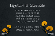 Maryone Font, a Serif Font by Asenbayu (Thumbnail 12 of 15)