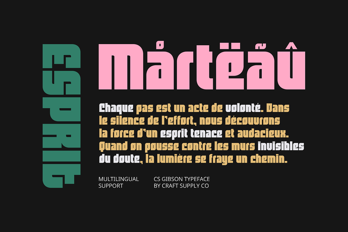 CS Gibson – Bold Font, a Sans Serif Font by Craft Supply Co. (Photo 5 of 8)