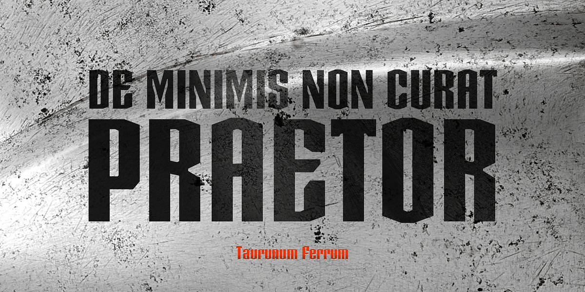 Taurunum Ferrum, a Sans Serif Font by Kostic Type Foundry (Photo 5 of 5)