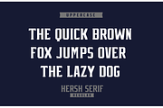HERSH SERIF FONT FAMILY, a Serif Font by Alphabet Agency (Thumbnail 2 of 14)